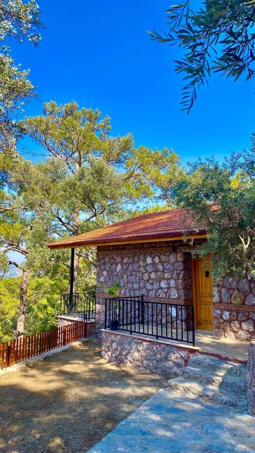 Candir Resort Restaurant Muğla Bagian luar foto