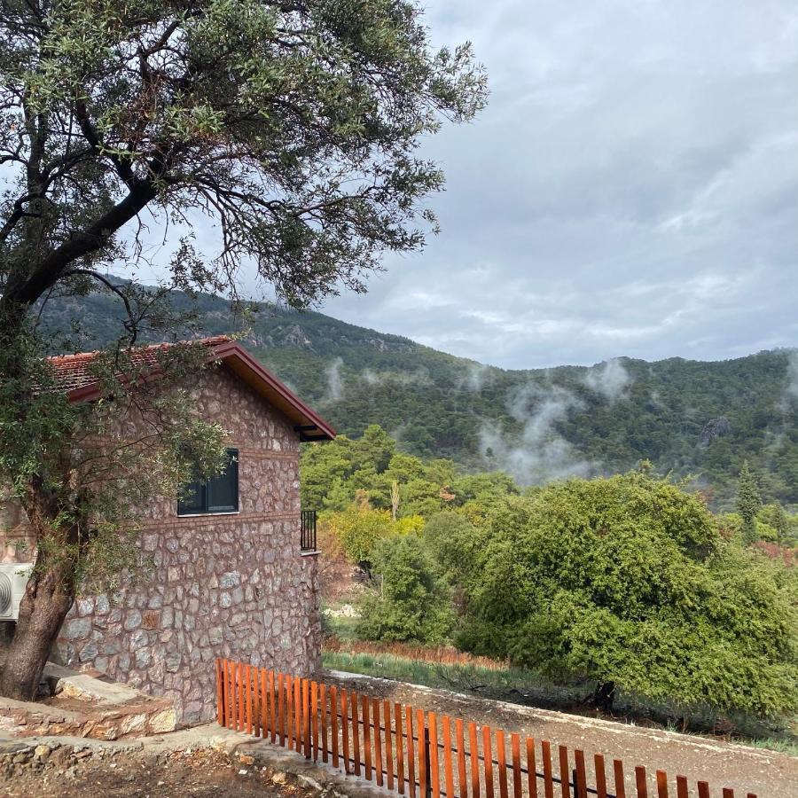 Candir Resort Restaurant Muğla Bagian luar foto